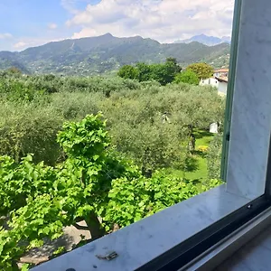 Bed & Breakfast La Madonnina, Querceta